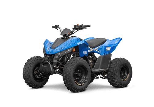 ATV 110
