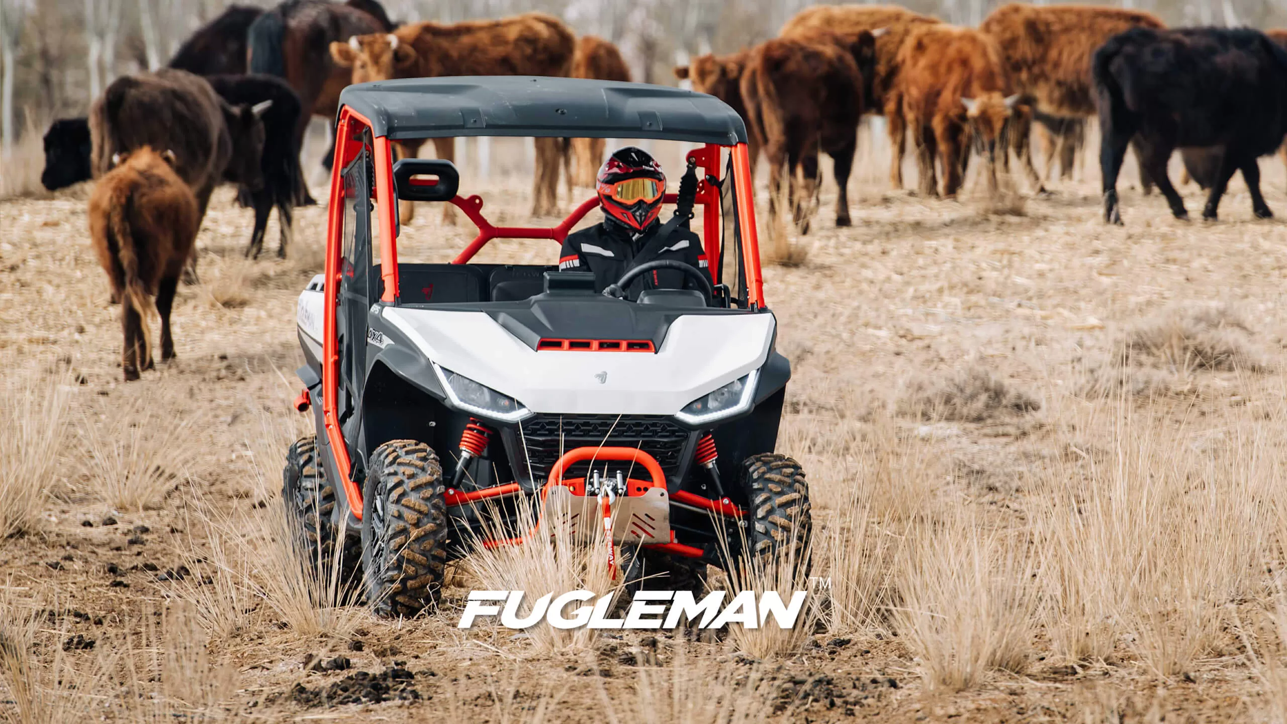 FUGLEMAN