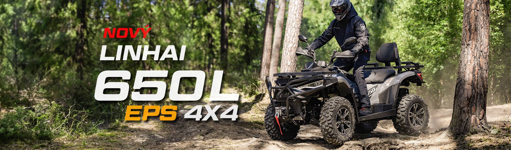 Banner 650L EPS 4x4x