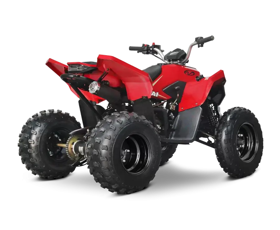 LINHAI ATV 110